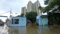 nguoi nuoc ngoai vui ve song chung voi ngap o thao dien