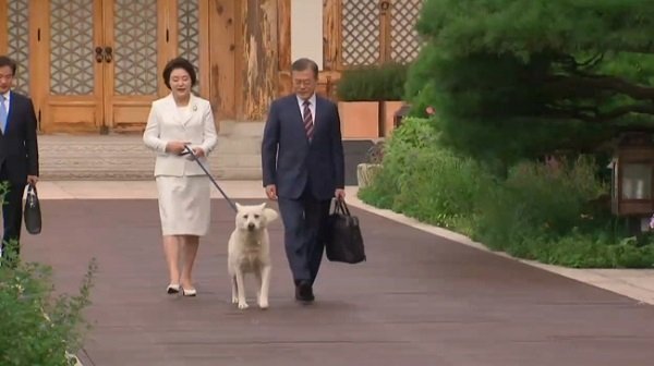 Cặp cún cưng Kim Jong Un tặng Tổng thống Hàn cap cun cung kim jong un tang tong thong han