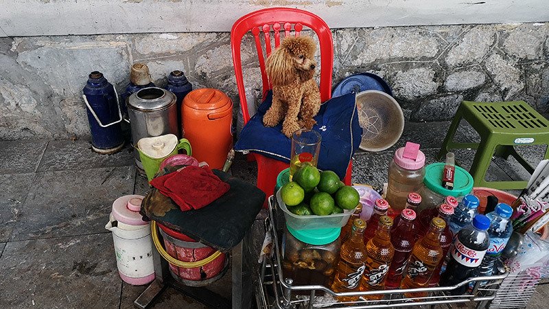 hinh anh ha noi hai huoc la lam khong danh cho nguoi day muon