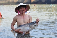 hop trung ca muoi gia cao hon mot chiec porsche 911 co gi la