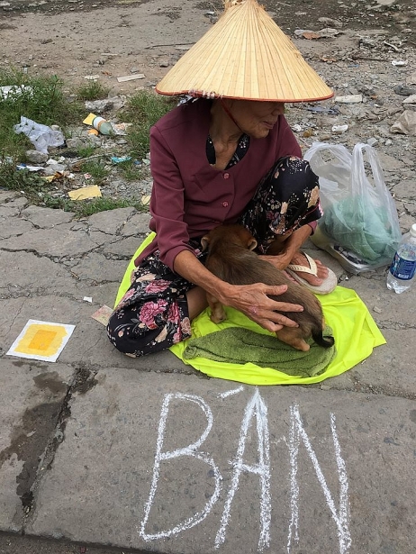 nu hon tam biet chu cho nho trong nuoc mat cua cu ba co doc