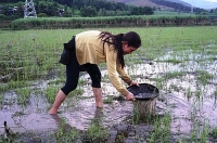 vu gia dinh 4 nguoi treo co o ha tinh chu no phu nhan chay an