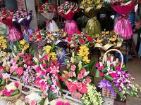 ngay 2011 bai phat bieu mung ngay nha giao viet nam hay nhat