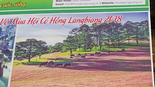 ban to chuc mua hoi co hong langbiang bi to xai chua hinh anh