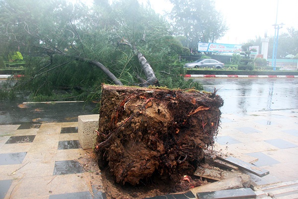 tin moi nhat hau qua bao so 9 tp hcm nhieu tuyen pho ngap nang giao thong un tac cuc bo