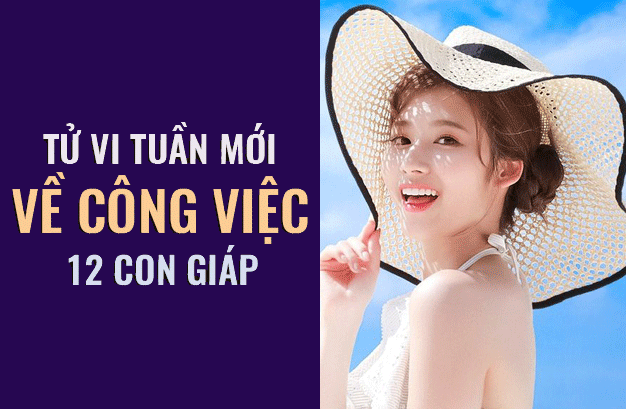 tu vi ngay mai 2212019 ve cong viec cua 12 con giap tuoi ty muon thay doi cong viec