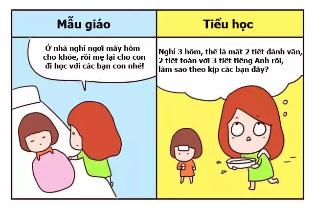 khac biet giua di hoc mau giao va di hoc tieu hoc