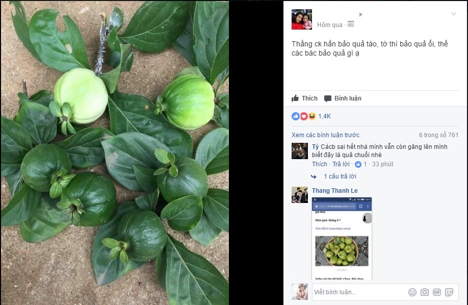 buc anh khien dan mang tranh cai xem day la qua gi