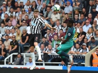 ti so truc tiep tottenham vs newcastle 19h30 22 livescore ngoai hang anh