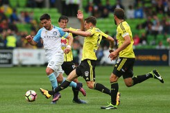 Nhận định, dự đoán Melbourne City vs Wellington Phoenix: VĐQG Australia