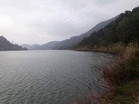 tieu thuong cho soc son binh cuu hoa hoat dong thi da khong chay ca cho