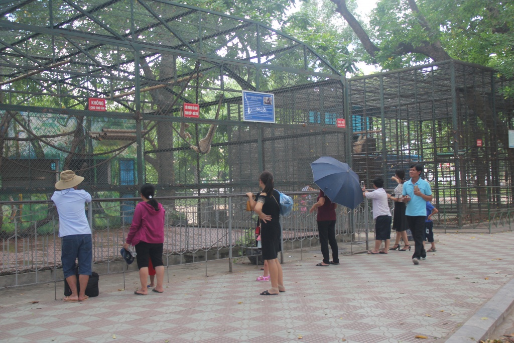 nhung cach giai nhiet thu vi cua muong thu tai cong vien thu le ngay nang nong ky luc