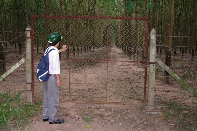 nguyen giam doc so dia chinh tinh binh duong bi truy to khi tham nhung dat dai