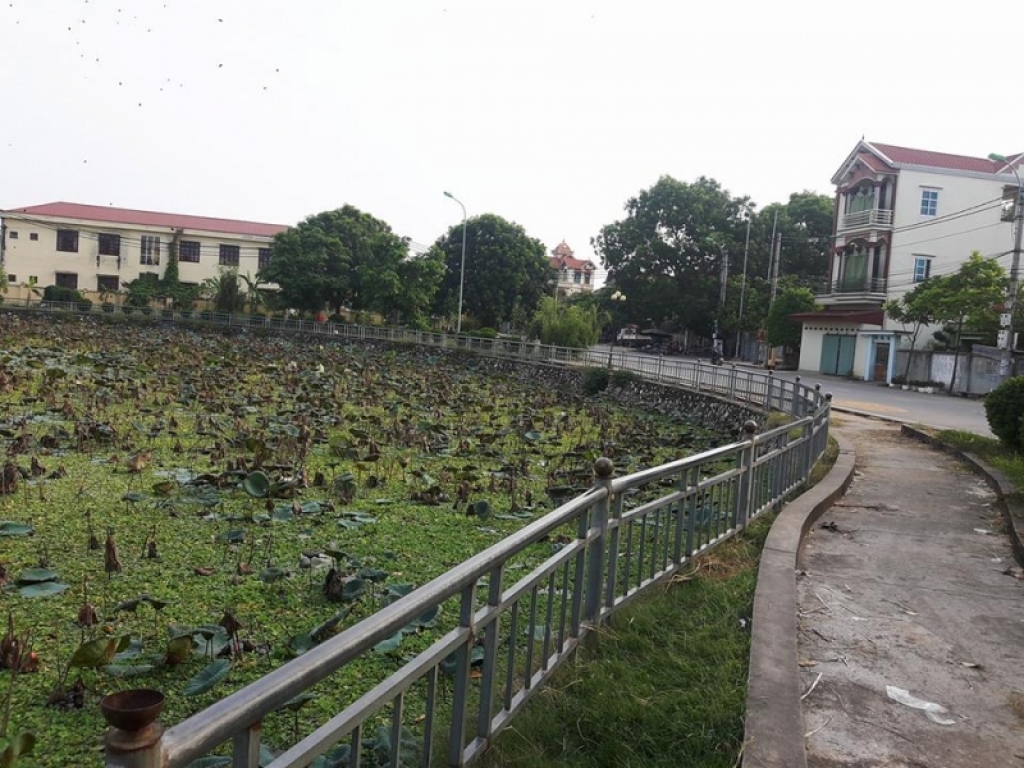 da bat duoc nhom doi tuong lien quan den vu nam thanh nien tu vong duoi ho sen