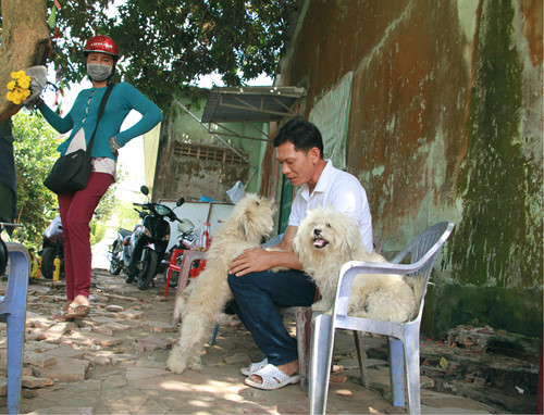 lo to chuyen nhung co dao phieu bat ky 4 dan cho nguoi ban 10 nam
