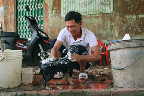 lo to chuyen nhung co dao phieu bat ky 4 dan cho nguoi ban 10 nam