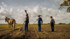 Đề cử Oscar 2018: Những dấu mốc đặc biệt về giới tính