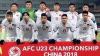 tranh cai quanh bui tien dung se thay doi ca he thong bong da viet