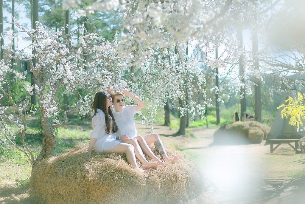 rung tim voi bo anh tinh yeu duoi nang cua cap dong gioi nu viet my