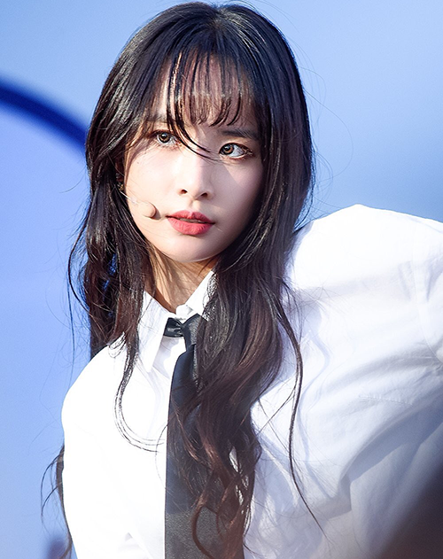red velvet mamamoo duoc gioi dong tinh nu yeu thich nhat
