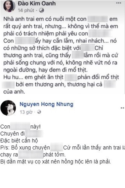 nghi an danh hai xuan bac danh vo vi kim oanh