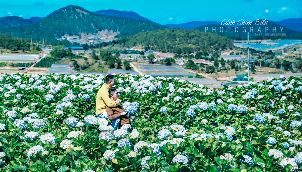 bo anh tinh yeu ngot ngao cua cap dong tinh nam khien nhieu chi em ghen ty