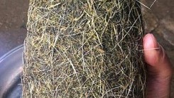 Đắk Nông: Phát hiện vật thể lạ nghi là cát lợn