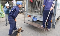 du bao thoi tiet ngay 309 mua dong khap ca nuoc troi diu mat