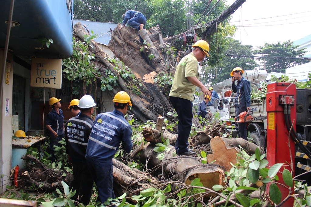 tp hcm cay co thu do vao nha dan nhieu nguoi thao chay
