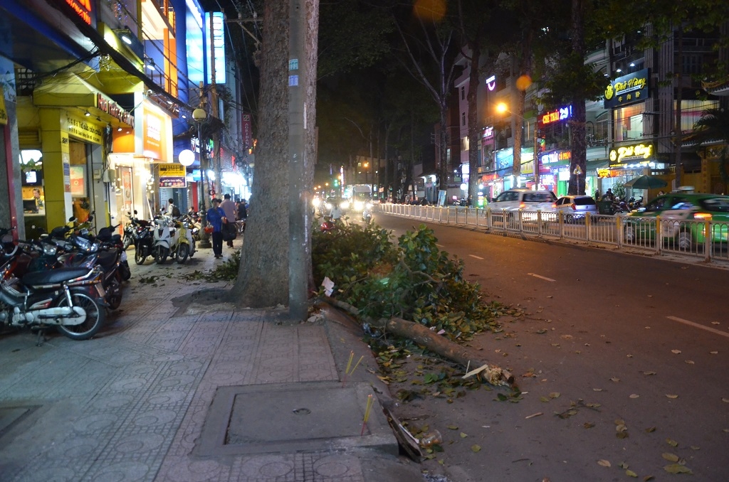 tp hcm nhanh cay roi trung nguoi di duong 3 nguoi bi thuong