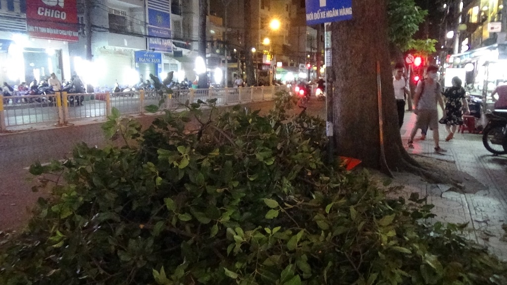 tp hcm nhanh cay roi trung nguoi di duong 3 nguoi bi thuong