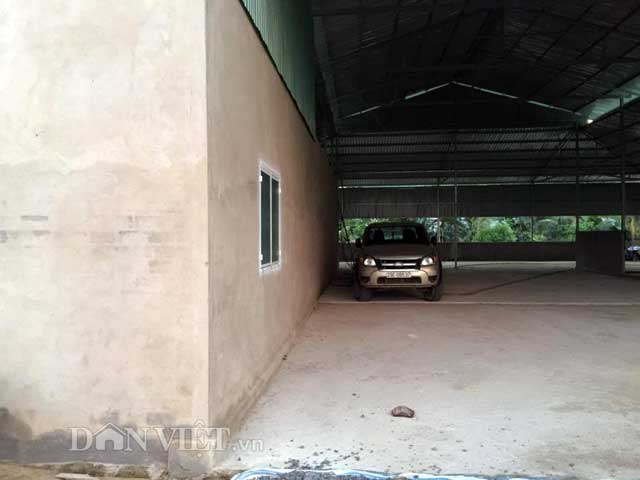 phat hoang voi tom 10 cang nguo i trung quo c nuoi o do ng tha p