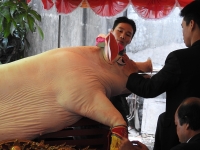 ky la ngoi lang qui lon khac thuong ngay an chao trang toi ngu mac man