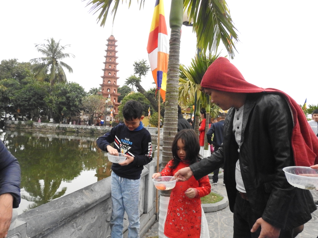 nguoi dan di chua tha ca phong sinh ra van mieu so hac dong de cau may
