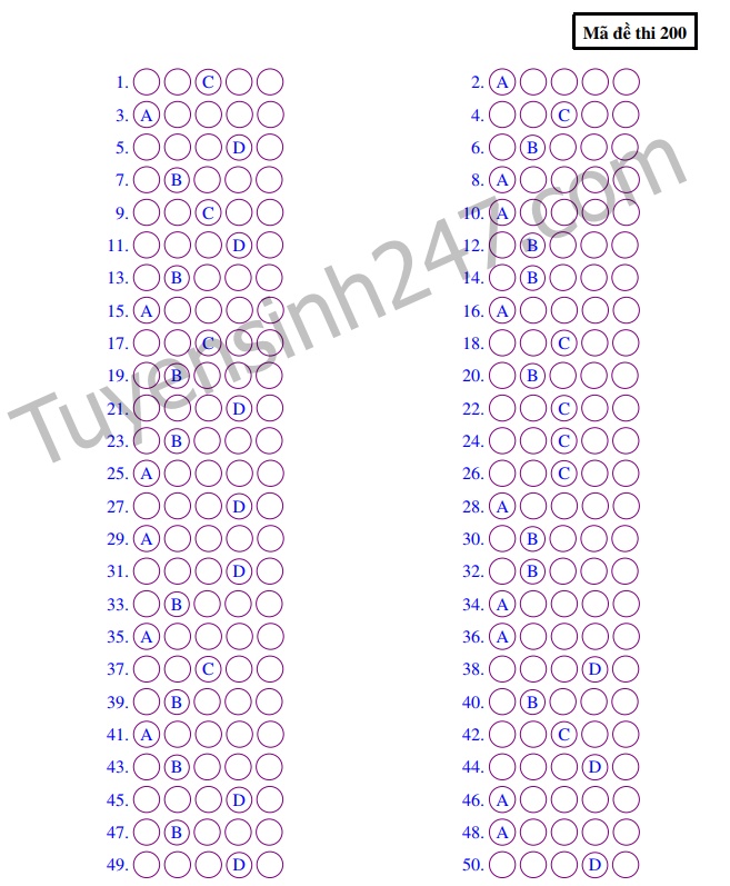 Đề thi giữa học kì 2 môn Toán lớp 11 THPT Lương Thế Vinh năm 2019 - Ảnh 2.