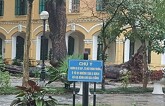 Sở GD&ĐT Hà Nội ra chỉ đạo khẩn sau vụ cây đổ khiến học sinh bị thương