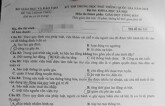 Đề thi THPT quốc gia 2018 môn Giáo dục công dân mã đề 313