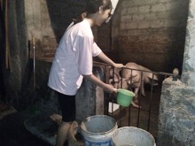 'Dù biết ngành sư phạm khó xin việc, nhưng em vẫn chọn vì đó là đam mê của em'