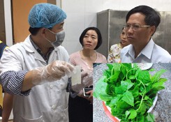 Hà Nội: Trường mầm non 'suýt' cho trẻ ăn rau nhiễm thuốc bảo vệ thực vật
