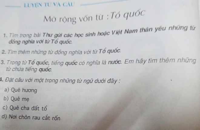 chon rau cat ron hay chon nhau cat ron