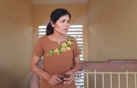 truong thcs thanh xuan thu hoc phi chat luong cao loi do dien dat