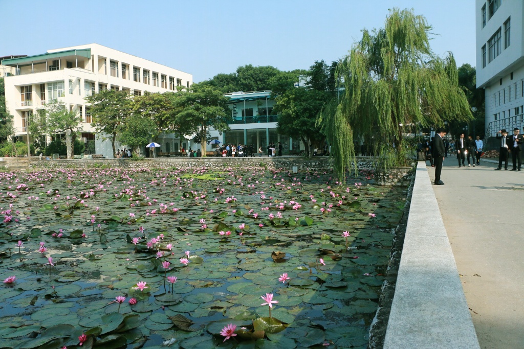 sinh vien tha hon giua sac tim mo mang o ho hoa sung khuon vien dh bach khoa