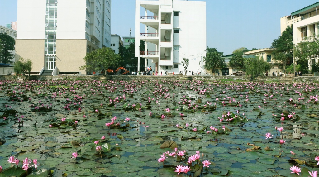 sinh vien tha hon giua sac tim mo mang o ho hoa sung khuon vien dh bach khoa