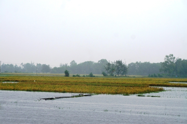quang nam quang ngai nuoc lu dang cao 6 nguoi thuong vong