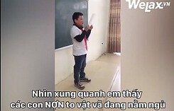 Cười nghiêng ngả với bài văn '3 ngày hóa thân thành lợn' của cậu học trò lớp 6