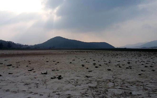 xem ngu dan san dac san tien trieu o bien quang ninh