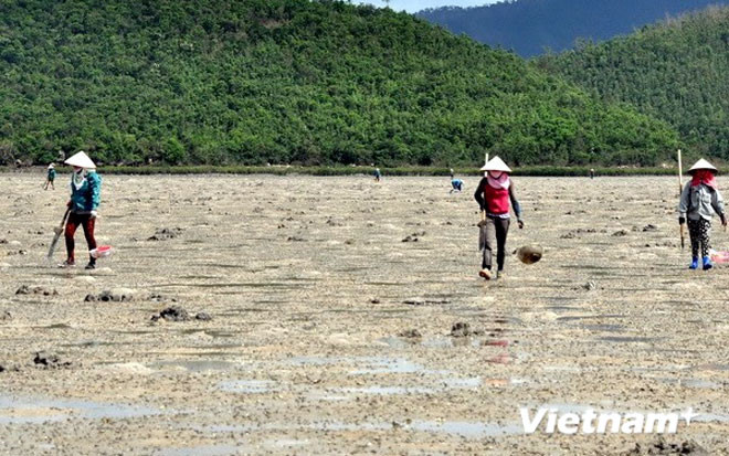 xem ngu dan san dac san tien trieu o bien quang ninh