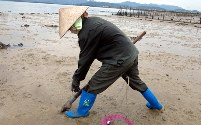 xem ngu dan san dac san tien trieu o bien quang ninh