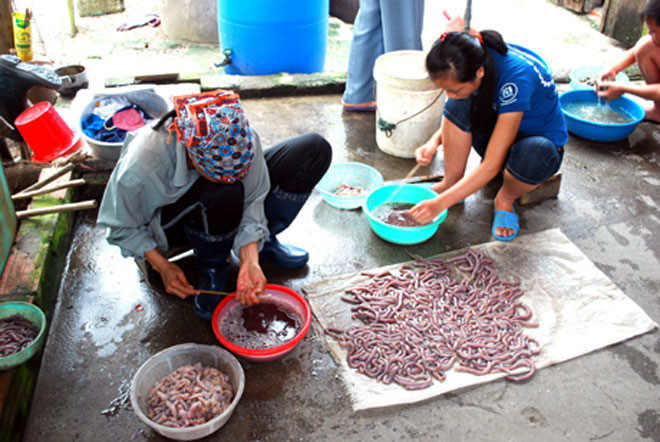 xem ngu dan san dac san tien trieu o bien quang ninh