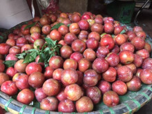 Mua tại vườn chỉ 9.000 đồng/kg nhưng mận hậu Mộc Châu vẫn có giá 'chát' ở Hà Nội